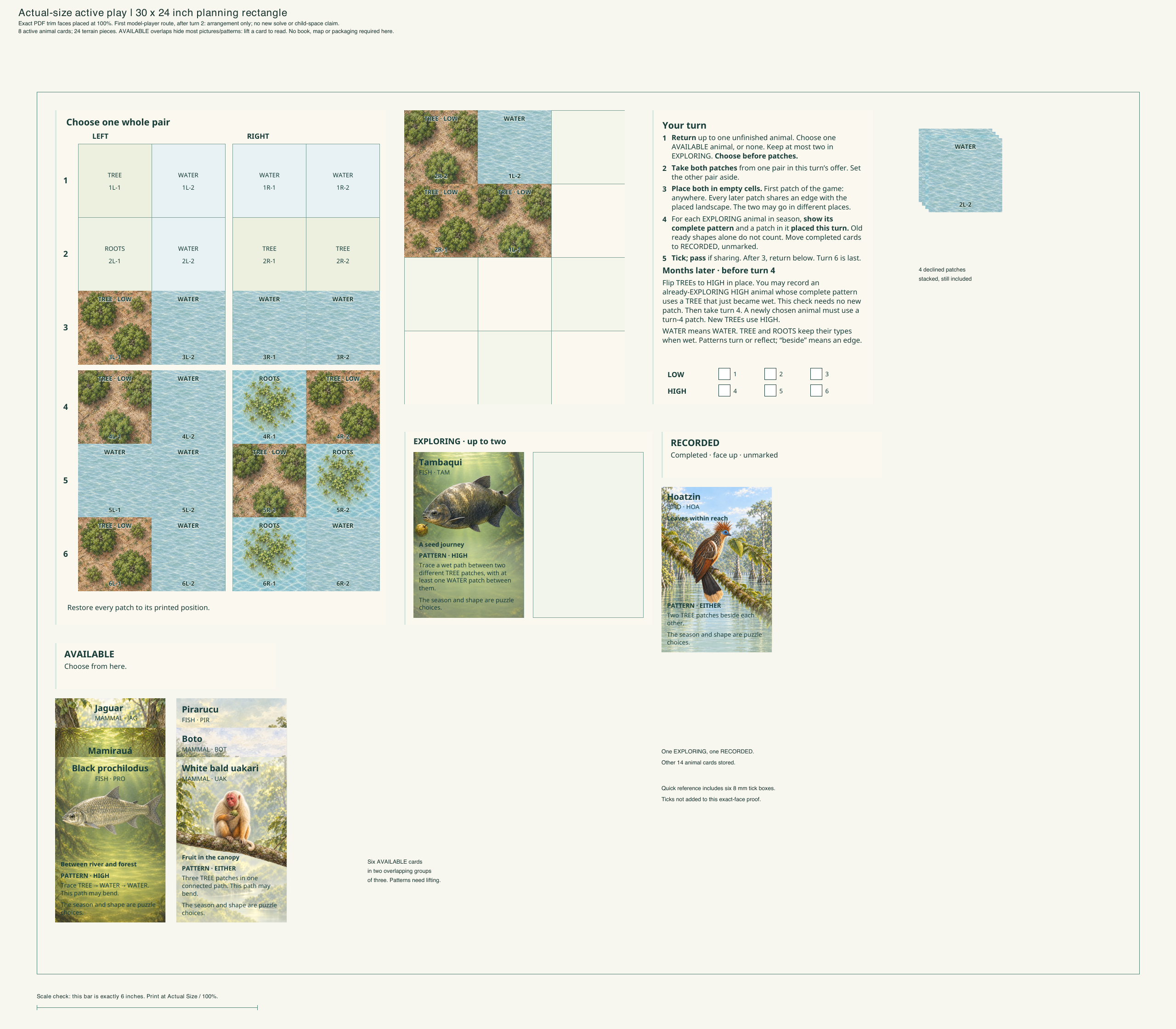 Actual-size active game arrangement, after turn two