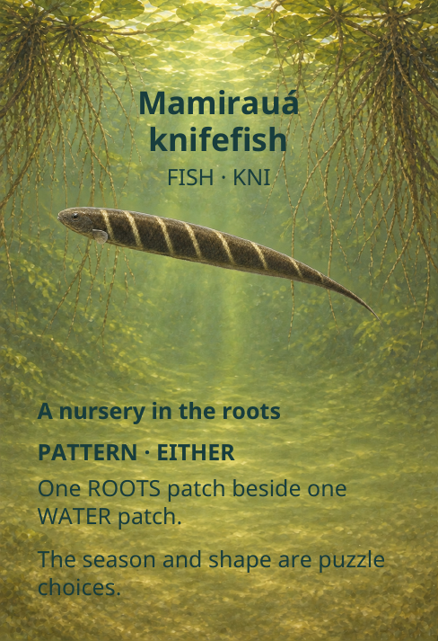 Mamirauá
knifefish
FISH · KNI
A nursery in the roots
PATTERN · EITHER
One ROOTS patch beside one
WATER patch.
The season and shape are puzzle
choices.