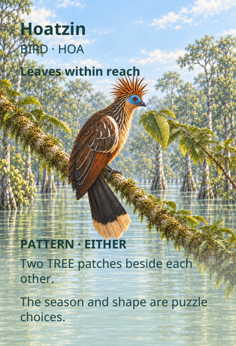 Hoatzin
BIRD · HOA
Leaves within reach
PATTERN · EITHER
Two TREE patches beside each
other.
The season and shape are puzzle
choices.