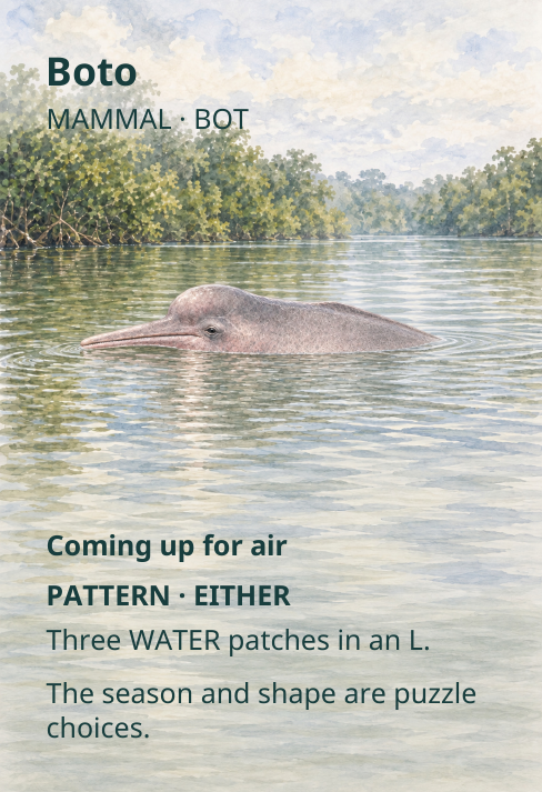 Boto
MAMMAL · BOT
Coming up for air
PATTERN · EITHER
Three WATER patches in an L.
The season and shape are puzzle
choices.