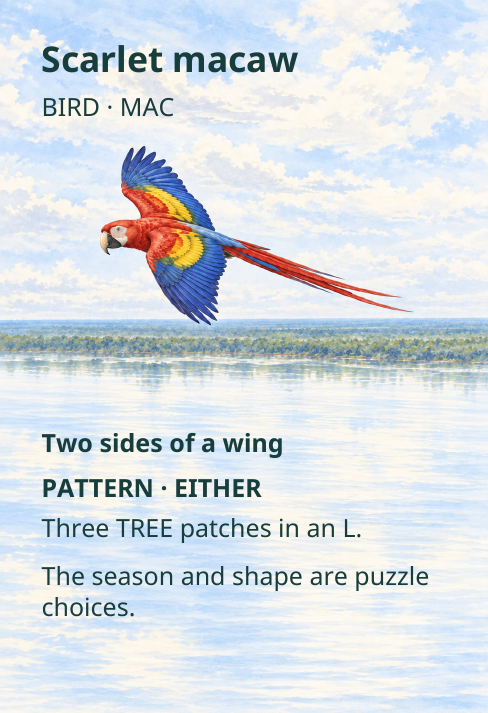 Scarlet macaw
BIRD · MAC
Two sides of a wing
PATTERN · EITHER
Three TREE patches in an L.
The season and shape are puzzle
choices.