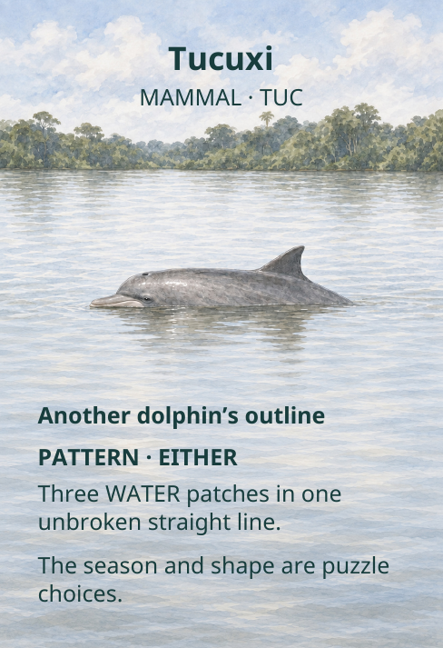 Tucuxi
MAMMAL · TUC
Another dolphin’s outline
PATTERN · EITHER
Three WATER patches in one
unbroken straight line.
The season and shape are puzzle
choices.