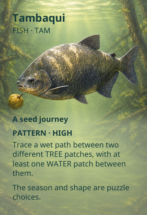Tambaqui
FISH · TAM
A seed journey
PATTERN · HIGH
Trace a wet path between two
different TREE patches, with at
least one WATER patch between
them.
The season and shape are puzzle
choices.