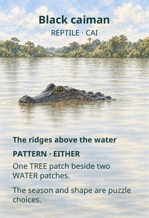 Black caiman
REPTILE · CAI
The ridges above the water
PATTERN · EITHER
One TREE patch beside two
WATER patches.
The season and shape are puzzle
choices.