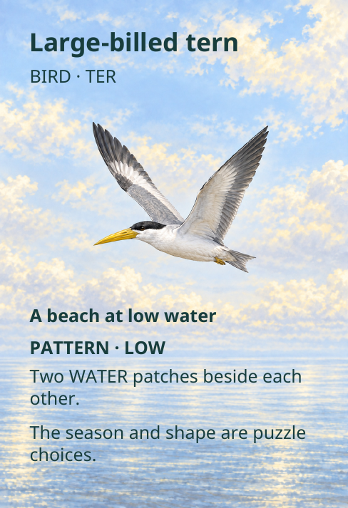 Large-billed tern
BIRD · TER
A beach at low water
PATTERN · LOW
Two WATER patches beside each
other.
The season and shape are puzzle
choices.