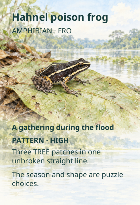 Hahnel poison frog
AMPHIBIAN · FRO
A gathering during the flood
PATTERN · HIGH
Three TREE patches in one
unbroken straight line.
The season and shape are puzzle
choices.