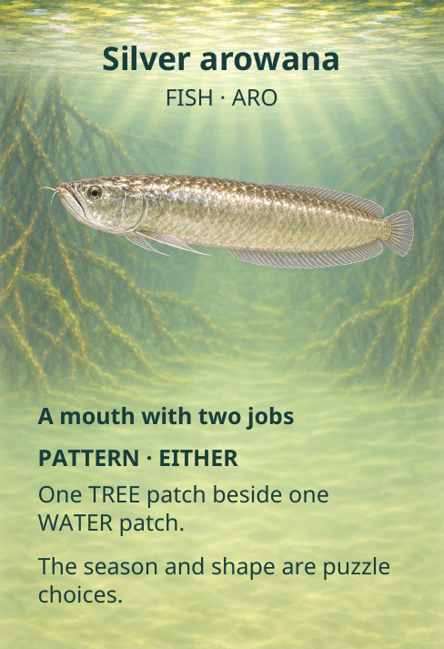 Silver arowana
FISH · ARO
A mouth with two jobs
PATTERN · EITHER
One TREE patch beside one
WATER patch.
The season and shape are puzzle
choices.